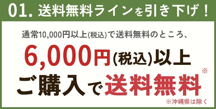 6000円以上送料無料