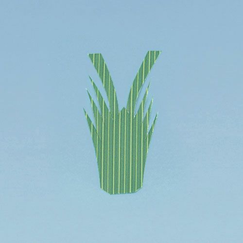 生ﾊﾞﾗﾝ ｴﾋﾞ型 1号 1000枚