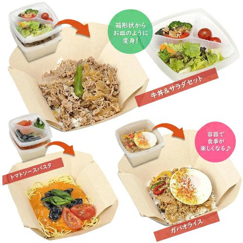 ボウルボックス14-14中皿B  エフピコチューパ