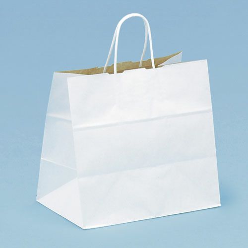 紙手提げ袋 HW-2R・S