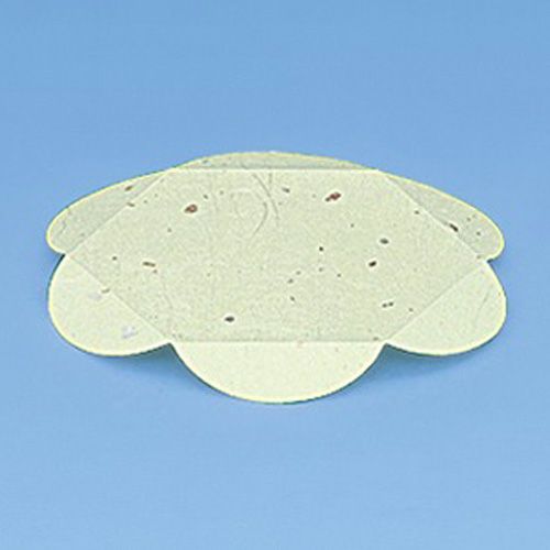 グルメキャップ亀甲 金銀緑