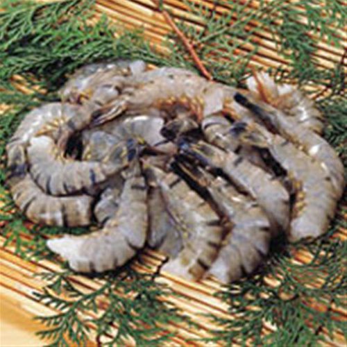 ⑧輸入）ブラックタイガー無頭1.8kg（26／30）