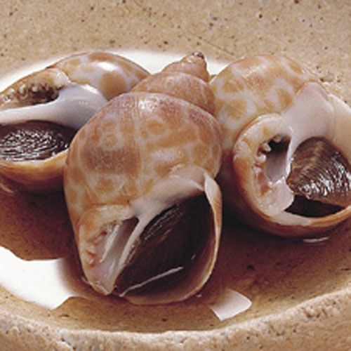 ⑧岡井）味付バイ貝150g（約10粒入）