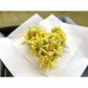 ⑧【秋商材】山福）ミニ勝栗約8ｇ×22個入