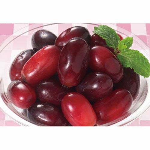 ⑧【秋商材】ノースイ）ＶｅｒｙＢｅｒｒｙ　ぶどう500ｇ（100～120粒入）