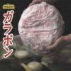 ⑧丸善食品）ガラポン　豚骨2kg
