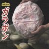 ⑧丸善食品）ガラポン　豚・鶏2kg